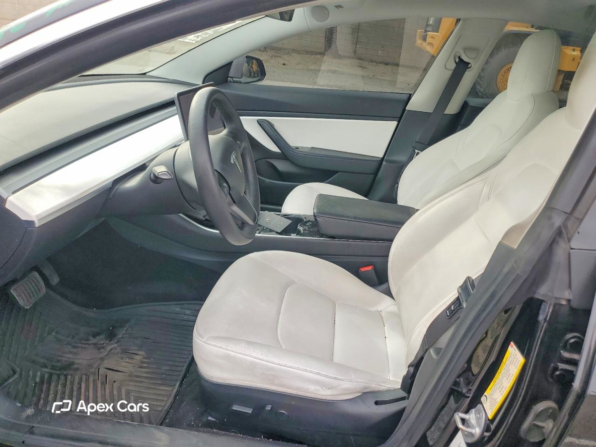 Tesla Model 3 2019