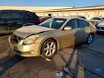 Nissan Maxima 2004