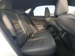 Lexus NX 2021