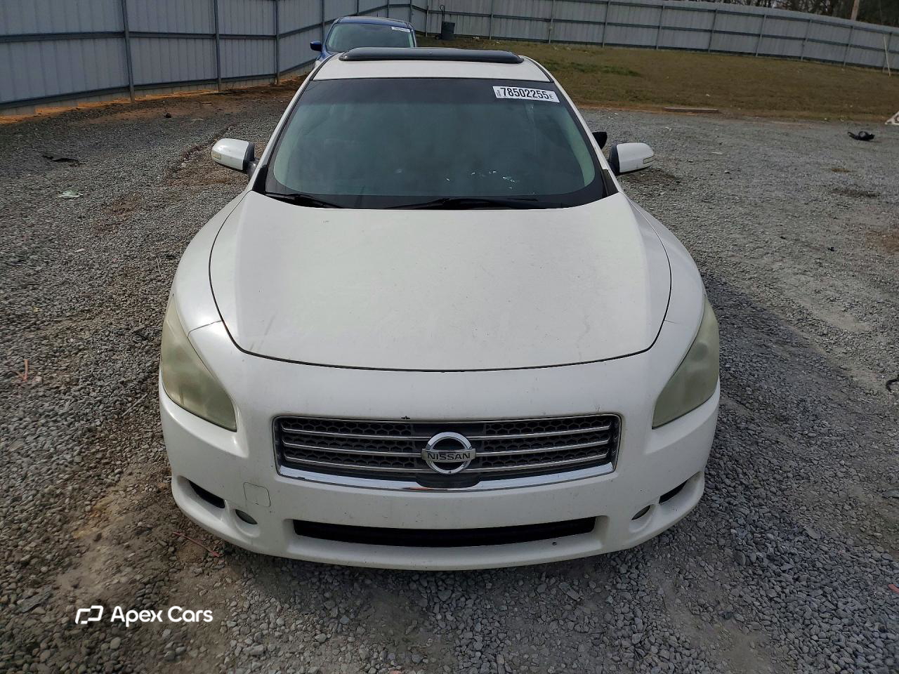 Nissan Maxima 2011