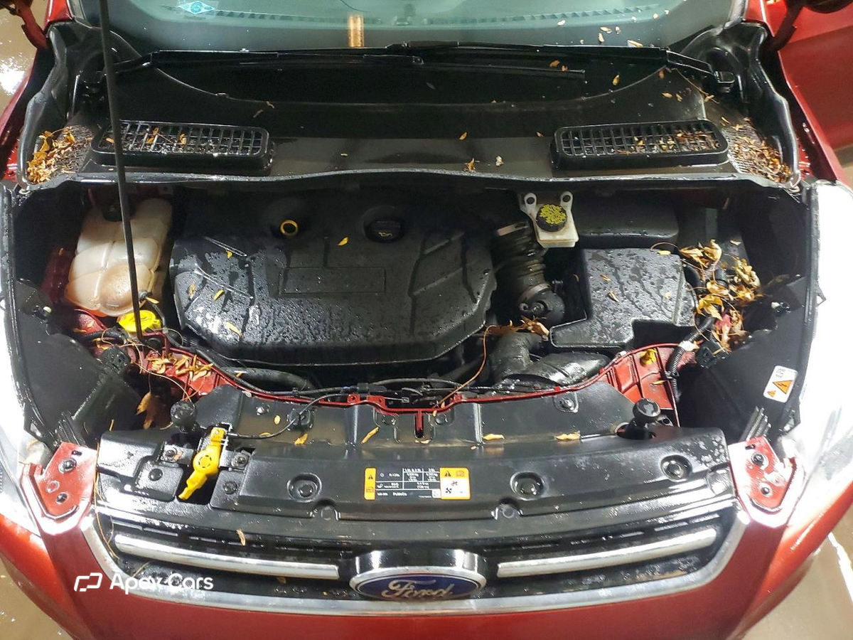 Ford Escape 2016
