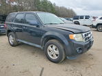 Ford Escape 2011