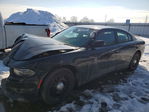 Dodge Charger 2015