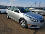 Cruze 2014