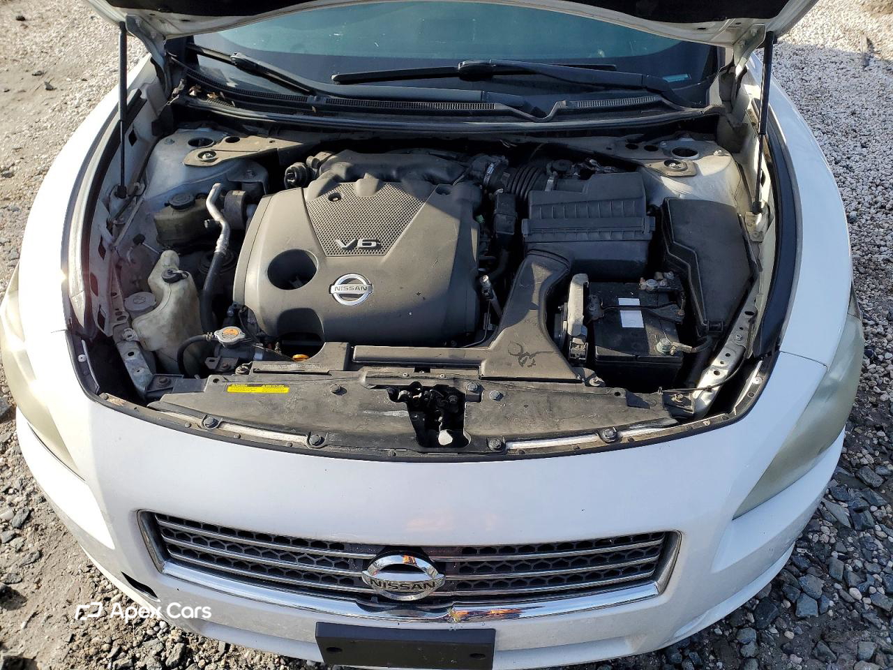 Nissan Maxima 2011