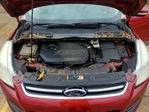 Ford Escape 2014