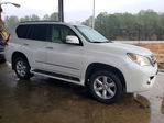 Lexus GX 2013