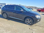 Lexus RX 2014