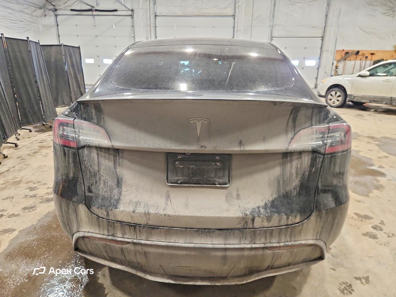 Tesla Model Y 2020