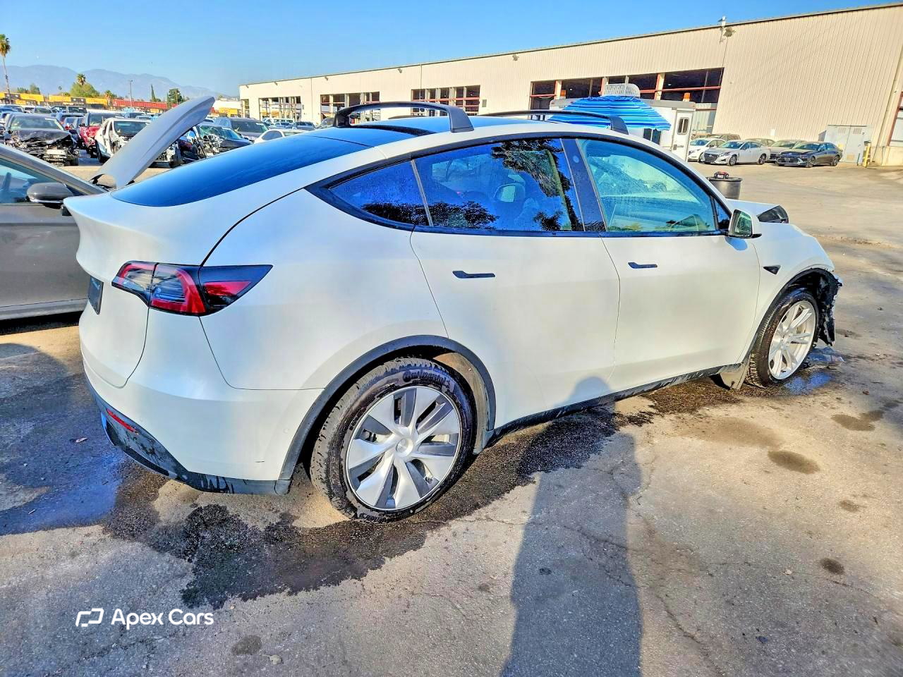 Tesla Model Y 2022