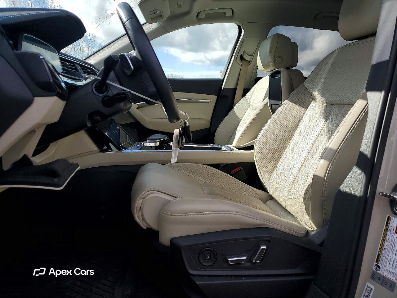 Audi e-tron 2019