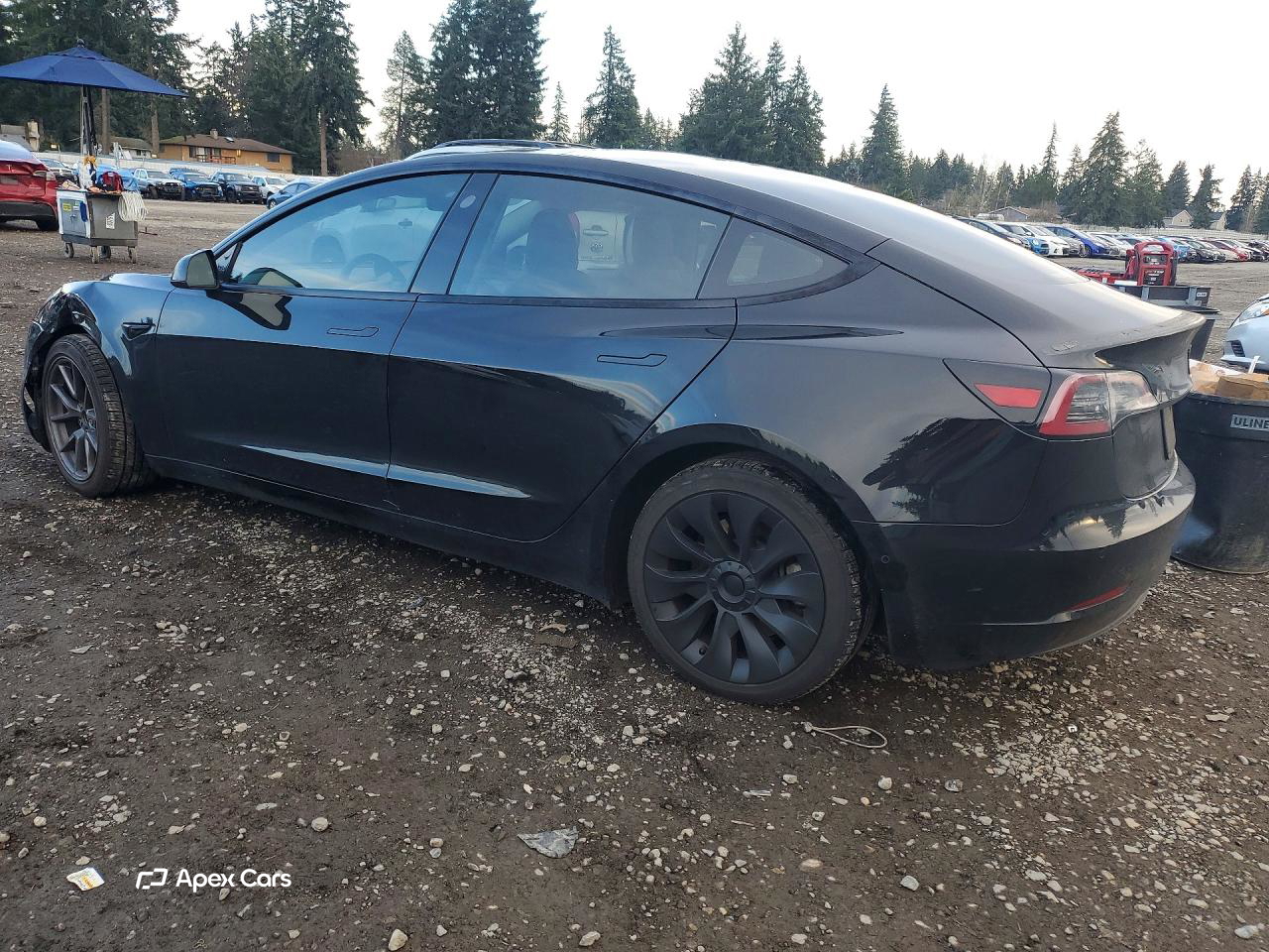 Tesla Model 3 2022