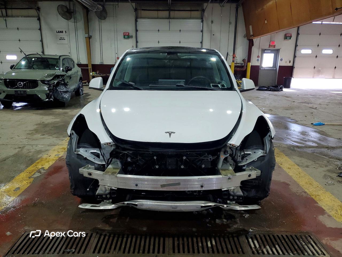 Tesla Model Y 2020