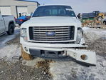 Ford F-150 2012
