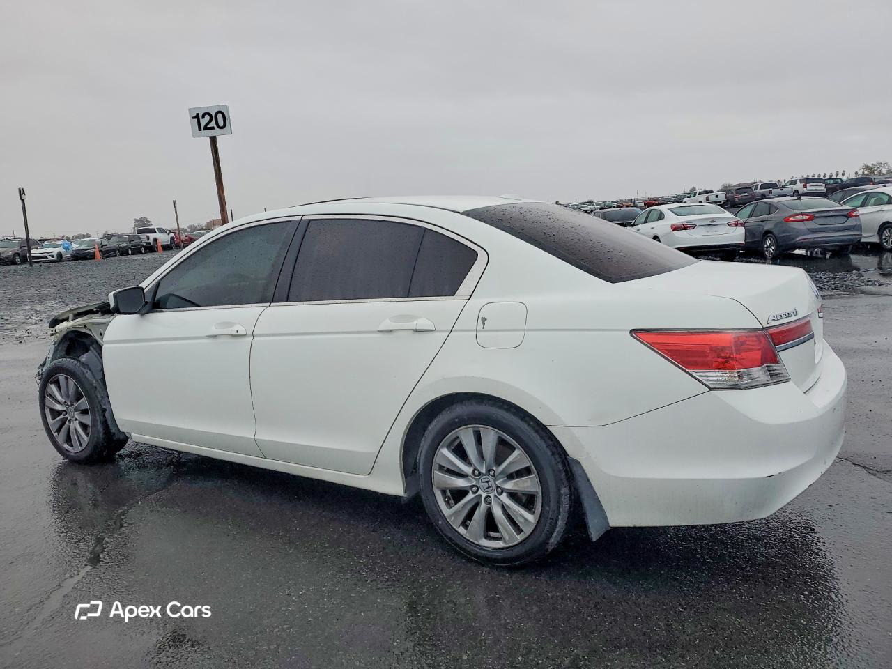 Honda Accord 2011