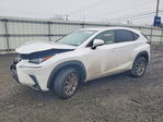Lexus NX 2021