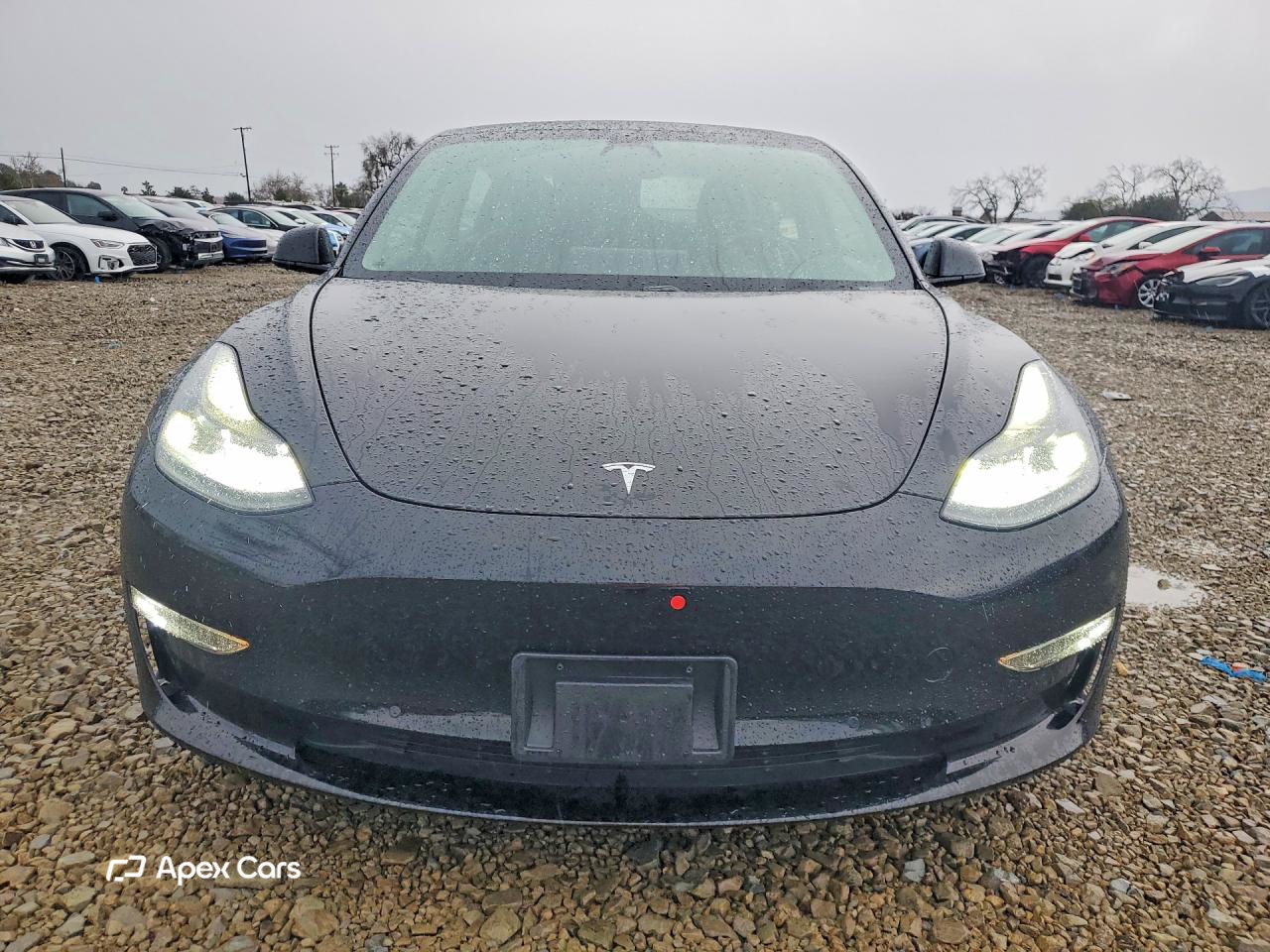 Tesla Model 3 2021