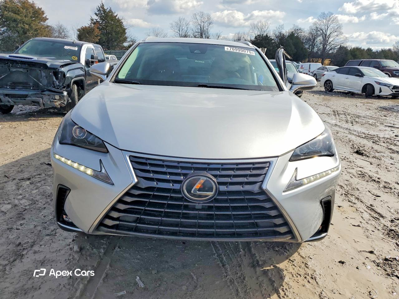 Lexus NX 2019