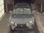 Lexus NX 2015