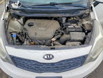 Kia Rio 2013