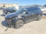 Kia  2024