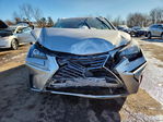 Lexus NX 2021