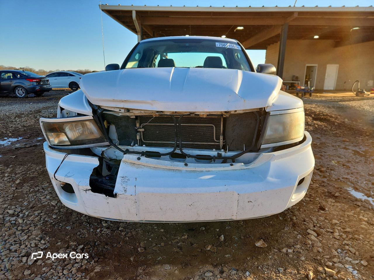 Dodge Dakota 2011