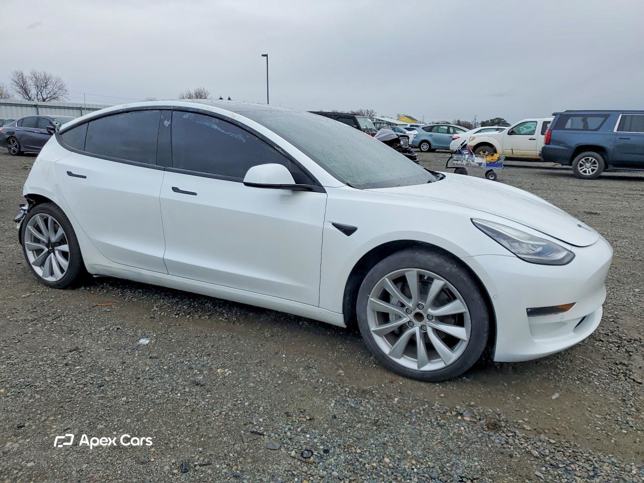 Tesla Model 3 2019