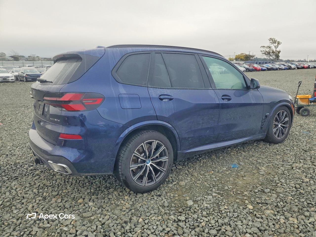 BMW X5 2025