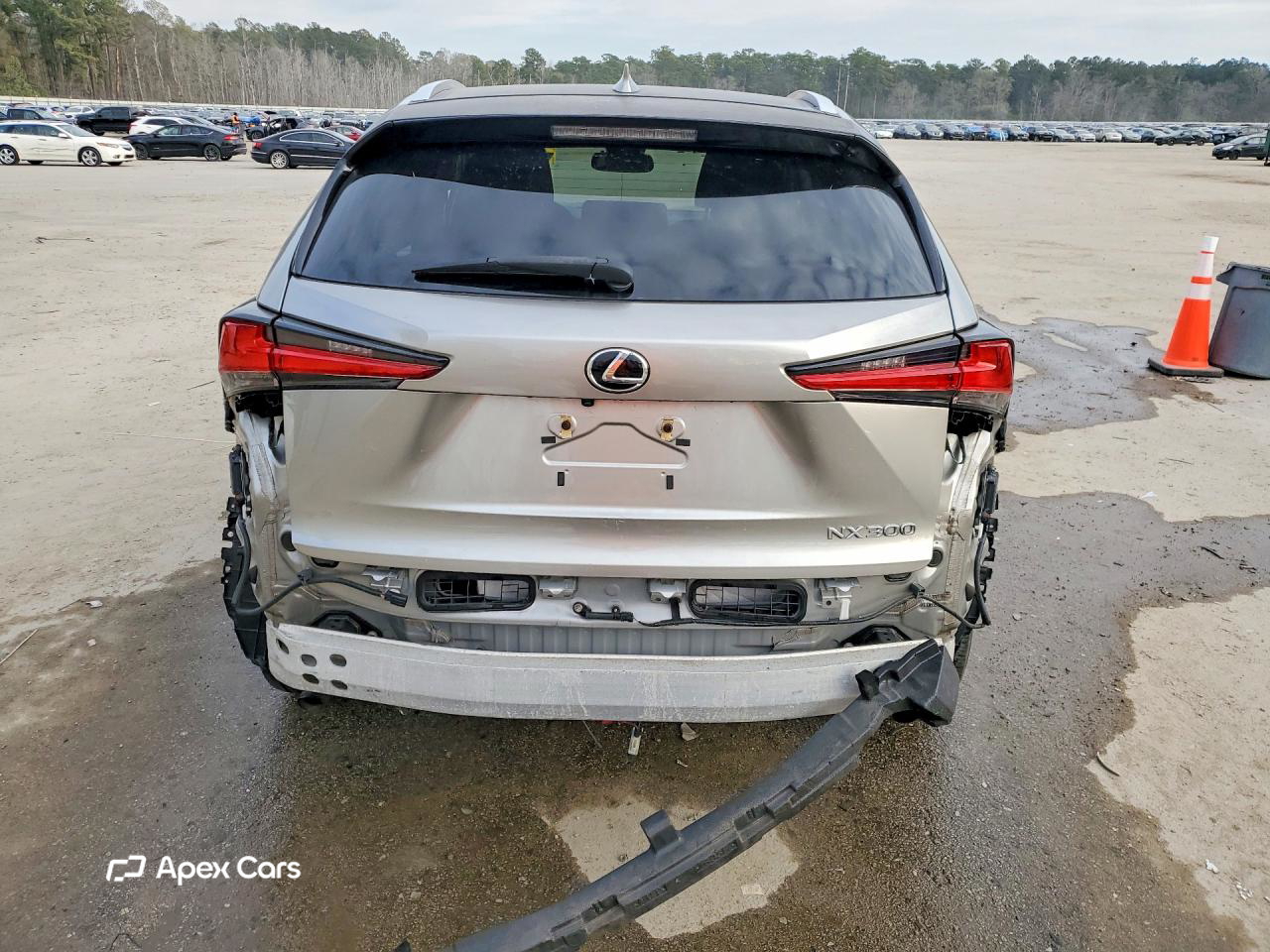 Lexus NX 2019