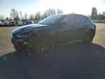 Dodge Hornet 2024