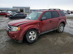 Ford Escape 2012