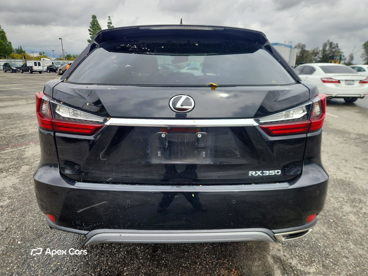 Lexus RX 2020
