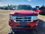 Ford Escape 2011