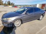 Honda Accord 2013