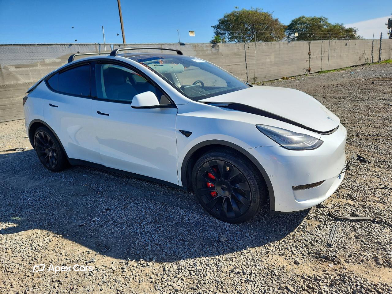 Tesla Model Y 2022