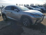 Lexus NX 2020
