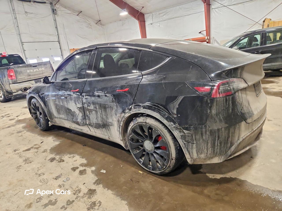 Tesla Model Y 2020