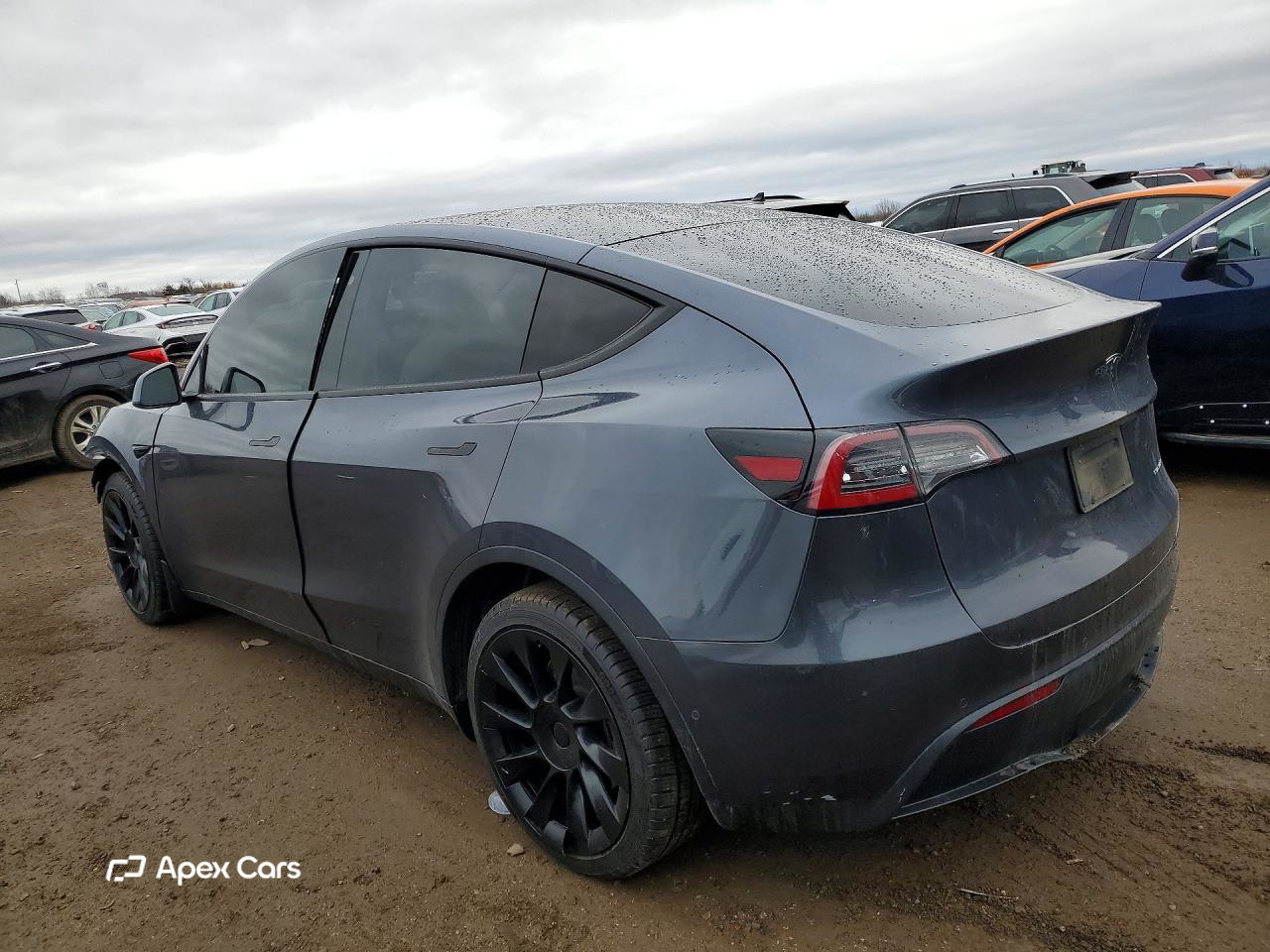 Tesla Model Y 2020