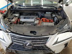 Lexus NX 2020