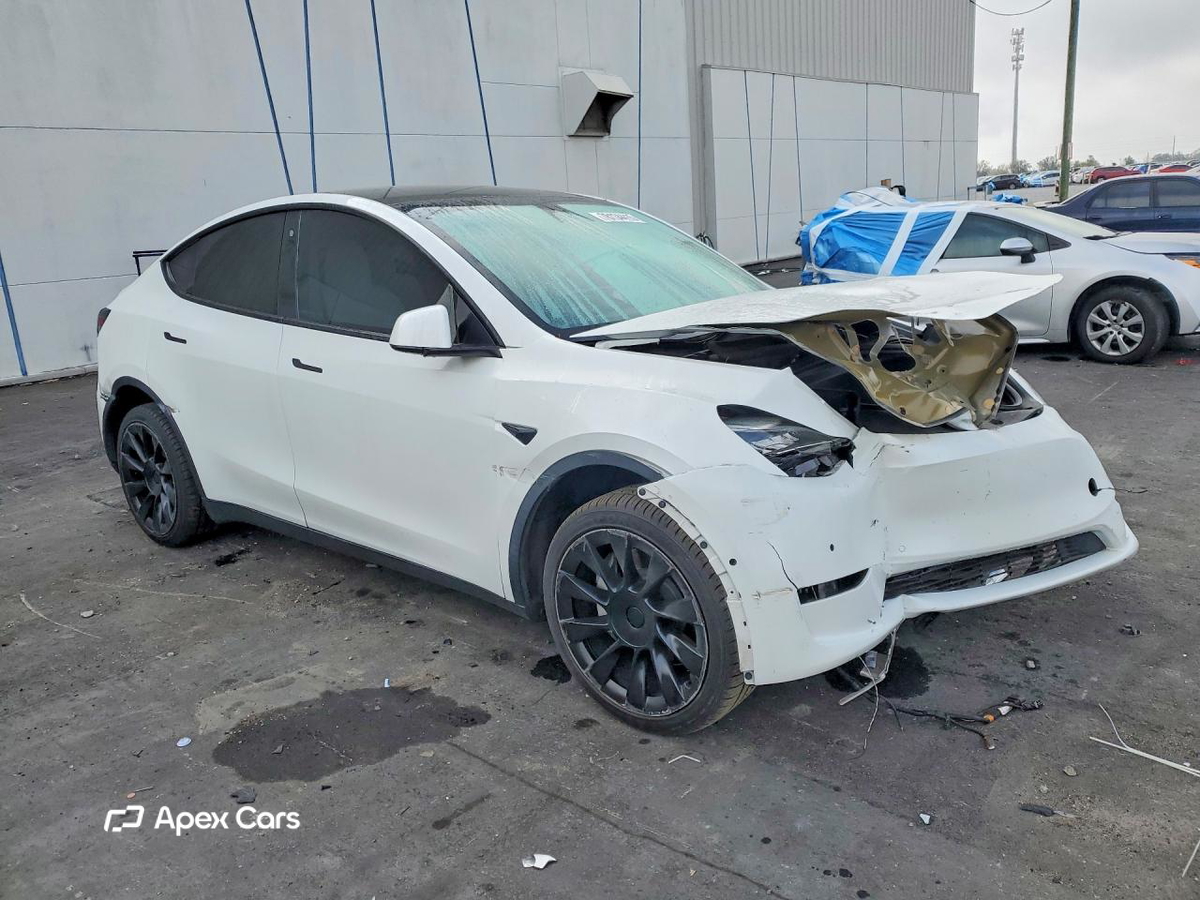 Tesla Model Y 2020