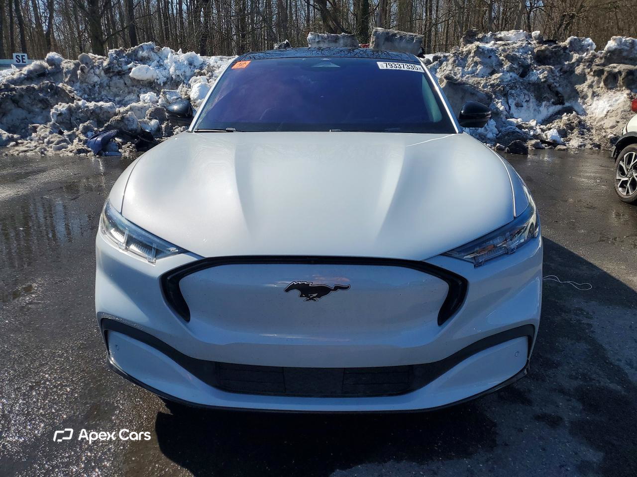 Ford Mustang 2022