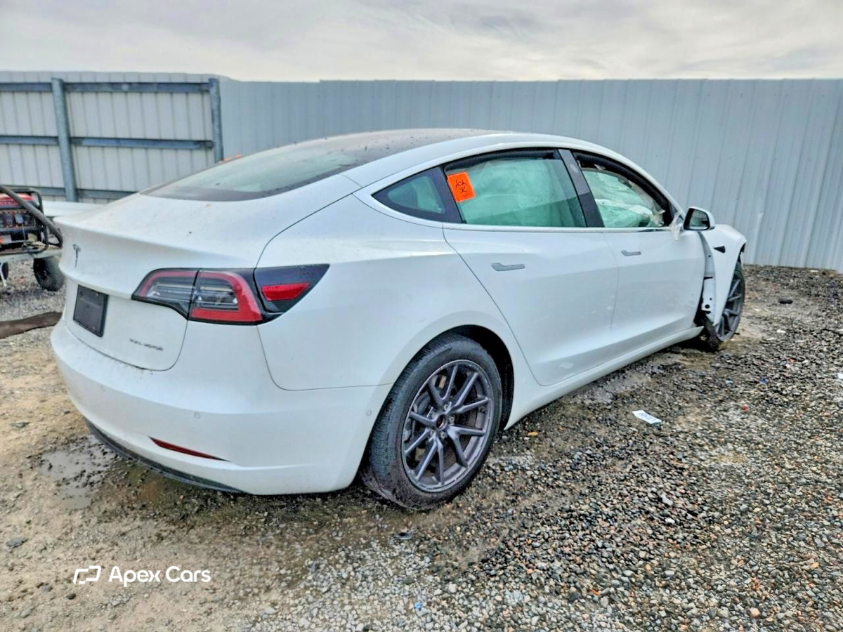 Tesla Model 3 2019