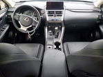 Lexus NX 2019