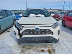 Toyota RAV 4 2021