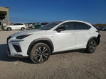 Lexus NX 2020