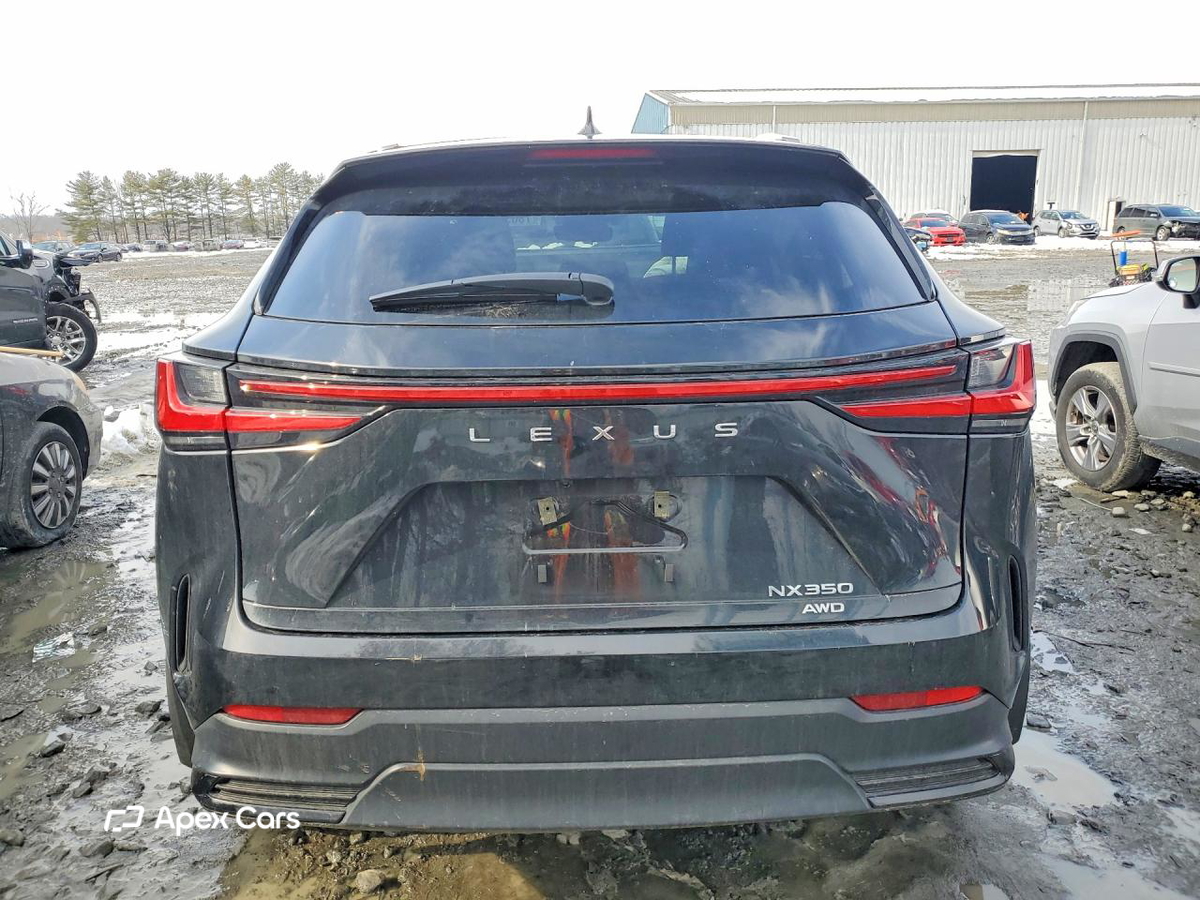 Lexus NX 2024