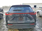 Lexus NX 2024