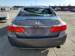 Honda Accord 2013