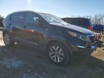 Kia Sportage 2015